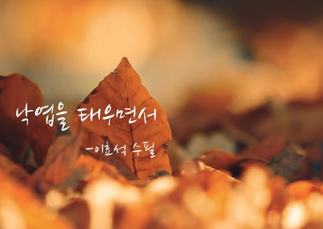 <낙엽을 태우면서> 섬네일 이미지