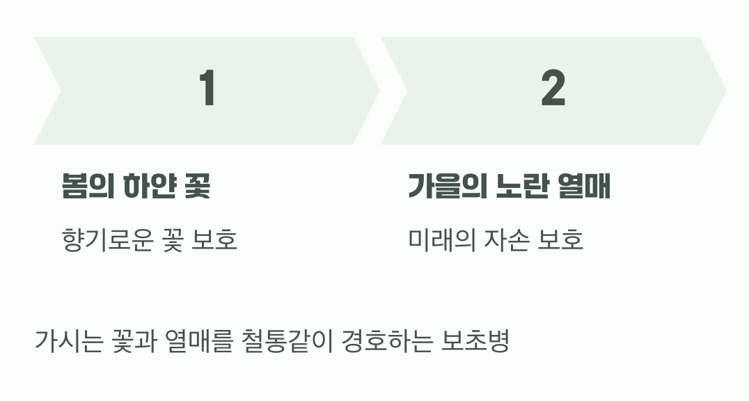 소중한 것을 지키기 위하여