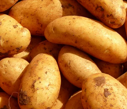 고혈압에-좋은-음식-건강