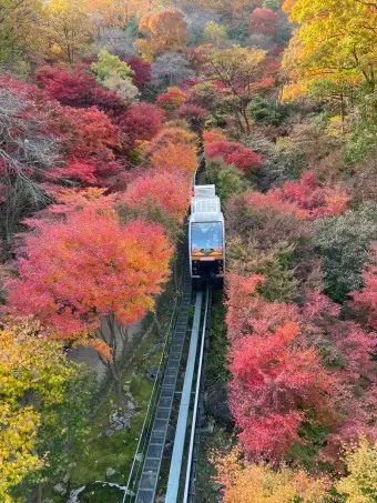 화담숲; 예매방법&amp;#44; 즐기는 방법&amp;#44; 방문후기 총정리