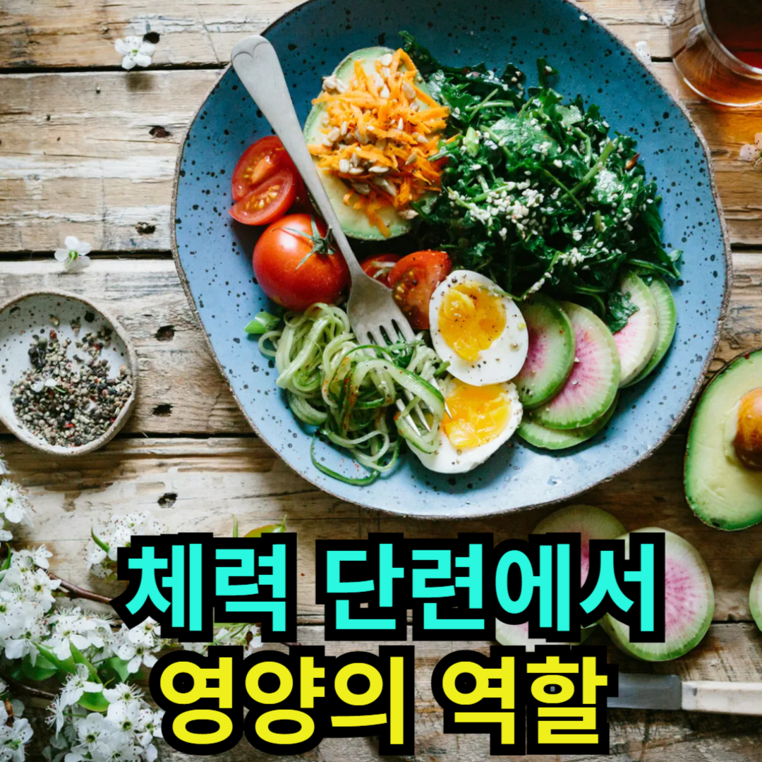 체력 단련에서 영양의 역할
