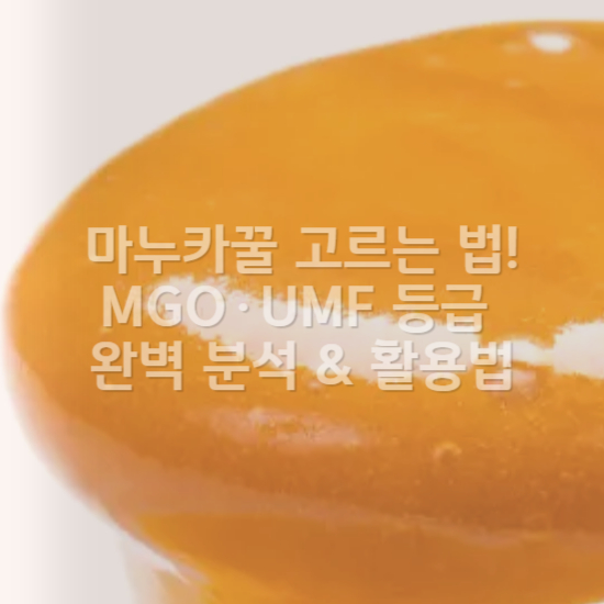 마누카꿀 고르는 법2