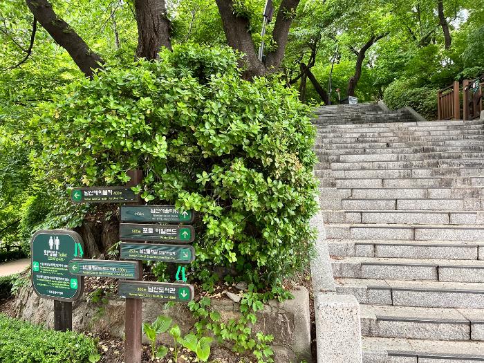 남산 등산코스 모습 2
