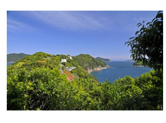 통영 유람선터미널 시간표 확인 사이트