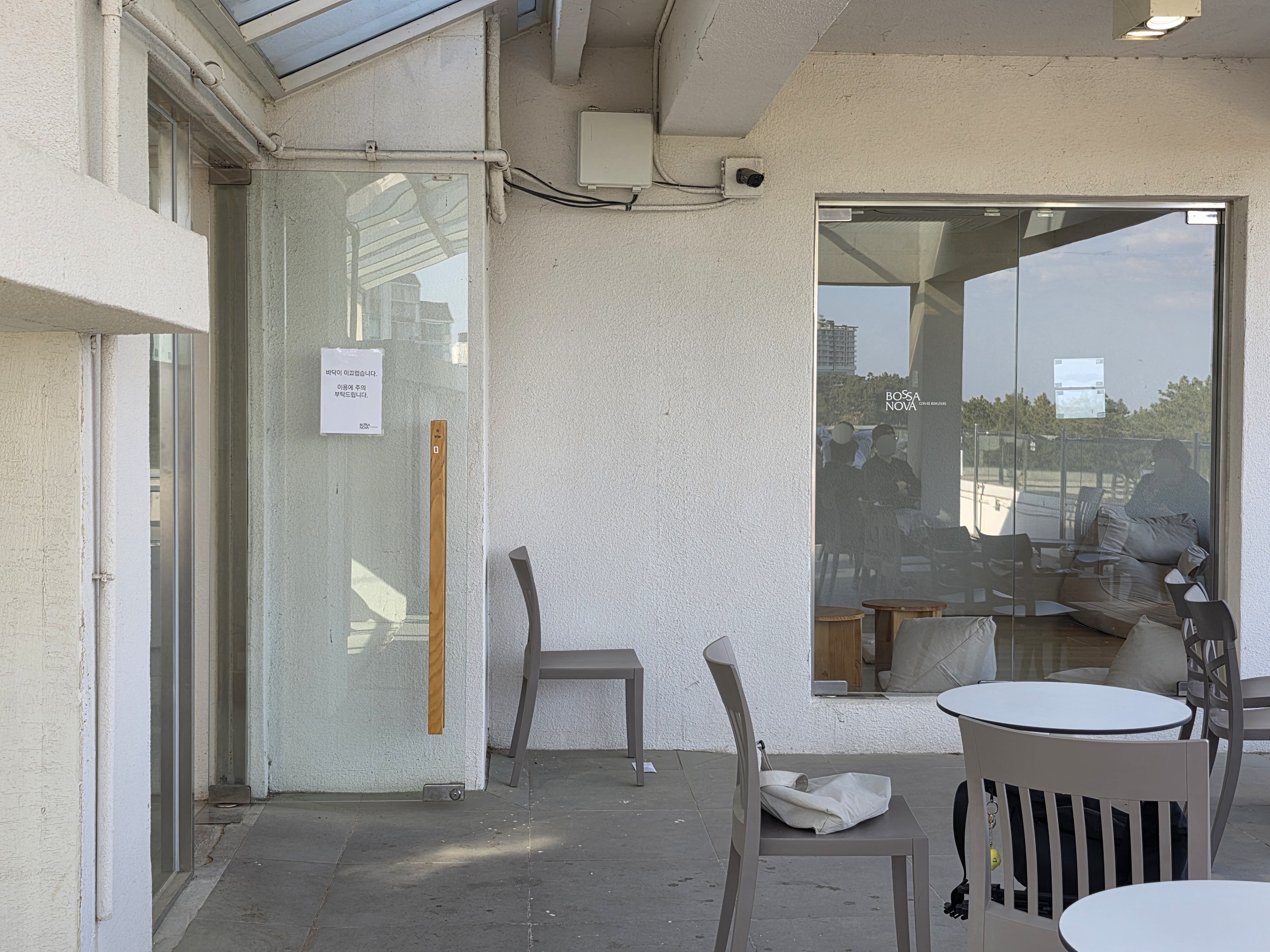 속초 애견동반 카페