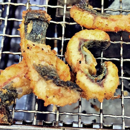 오늘 몸보신 하는 장어