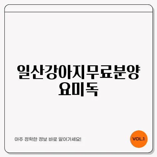 일산강아지무료분양 요미독