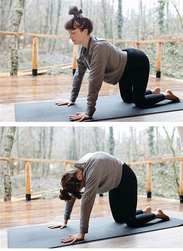 척추측만증 교정운동