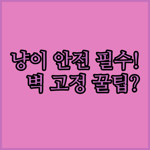 캣타워 터널 설치 핵심 이중 벽면 고..