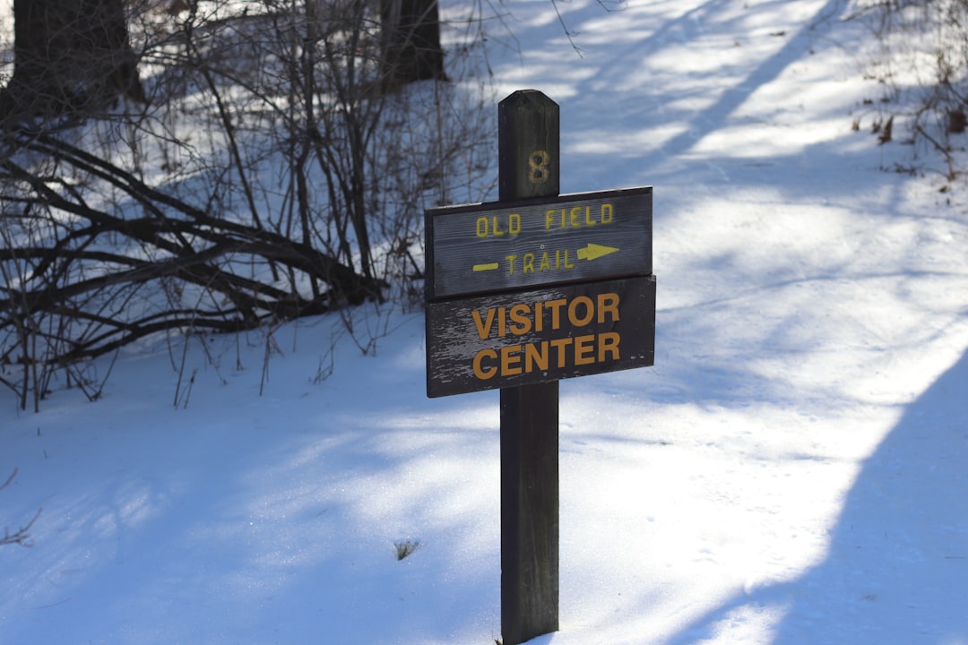 Visitor