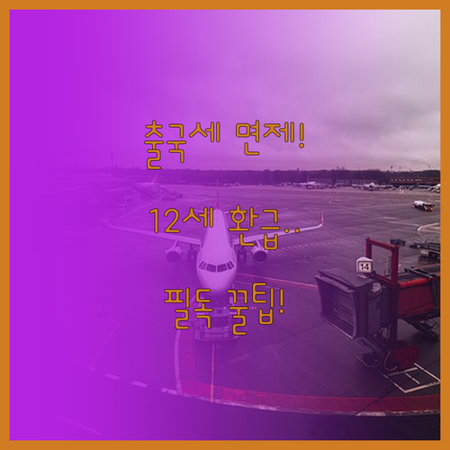 출국납부금 면제 대상 확대 및 만 1..