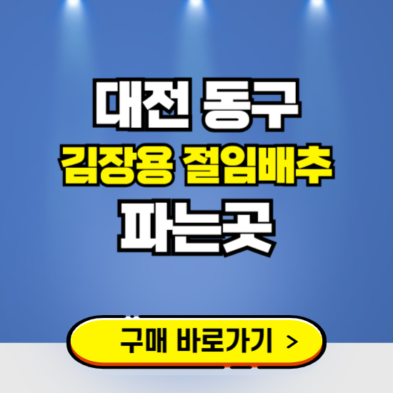 대전 동구 절임배추 사전예약 구입하는곳 ❘ 김장배추 파는곳 가격보기