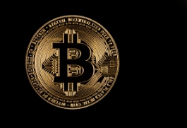 애니메 코인 ANIME