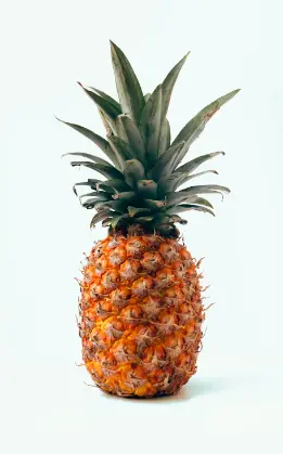파인애플