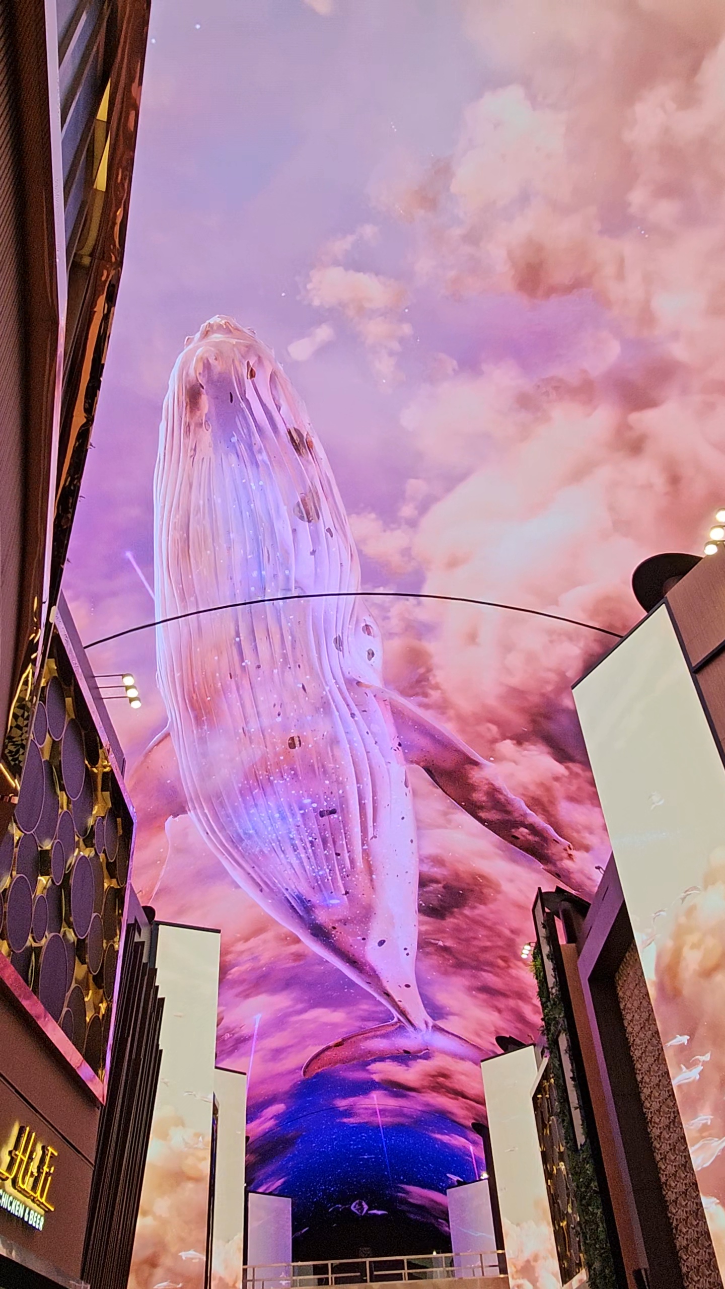 인스파이어돌고래