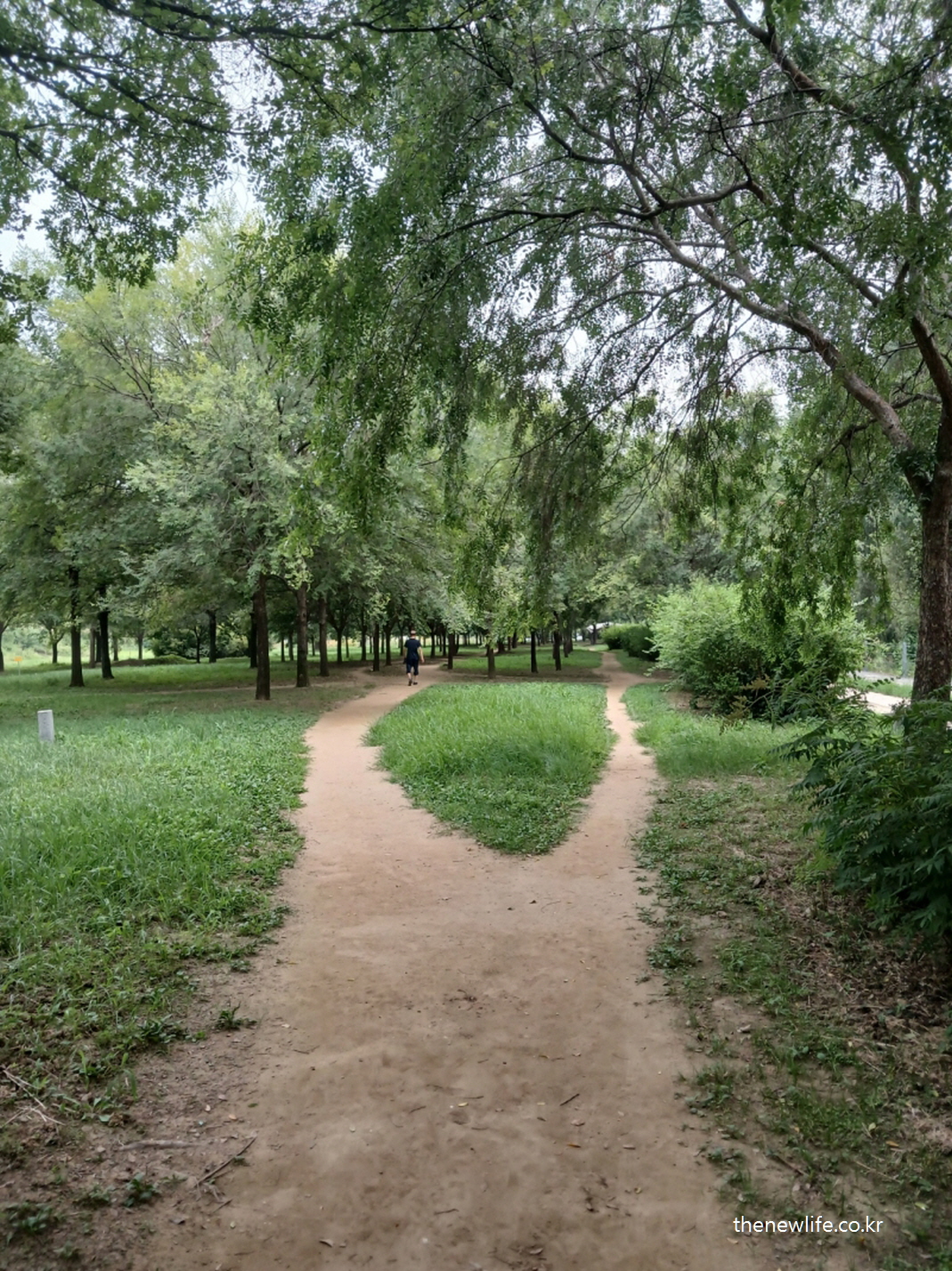 서울 광나루 한강공원의 숲속 흙길 갈림길, 서울 맨발 걷기 좋은 장소 추천 길