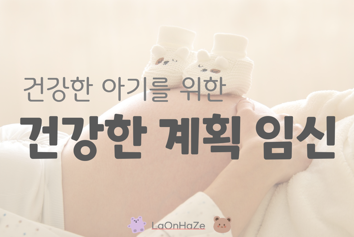 건강한 계획 임신 관련 사진