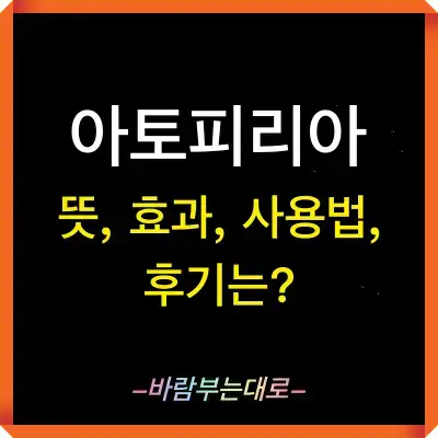 아토피리아 후기