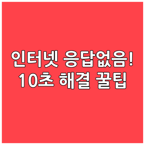 윈도우 네트워크 설정 초기화로 DNS..