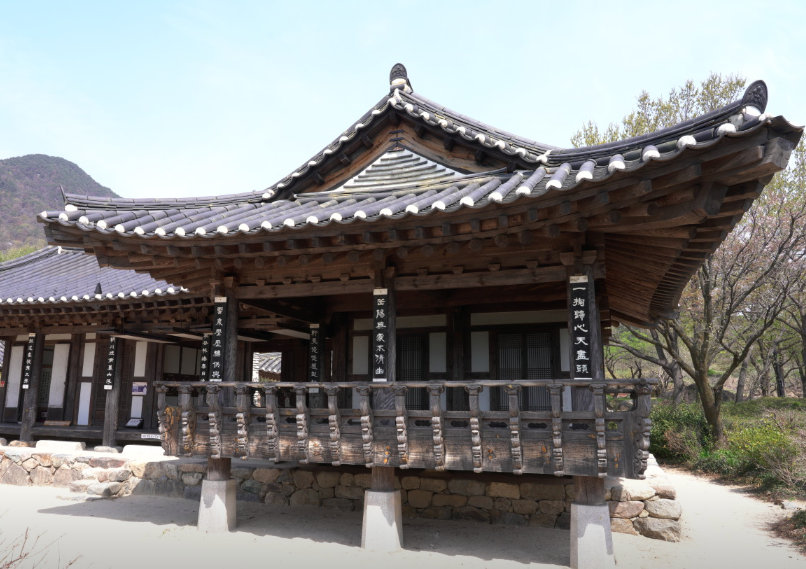 하동 북천 꽃양귀비 축제