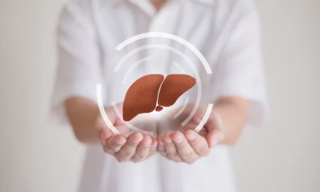 간 보호 & 해독 작용