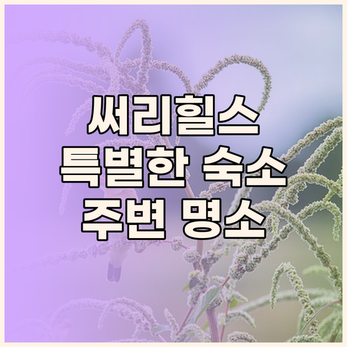 써리힐스 아드지 아파트먼트 특별한 숙