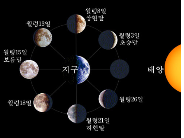 날짜의 흐름에 따른 달 모양의 변화를 잘 알려주는 그림이다.