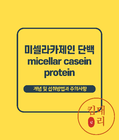 미셀라카제인 정의