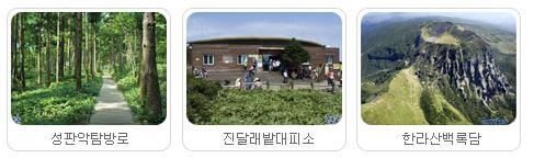 성판악탐방로 – 가장 긴 정복 코스