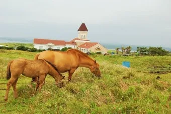 몽골 유배지 제주 외세 역사_10