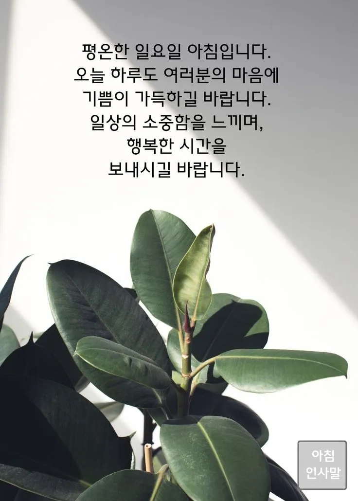 기분 좋은 아침 인사말 문구 이미지 모음들_4
