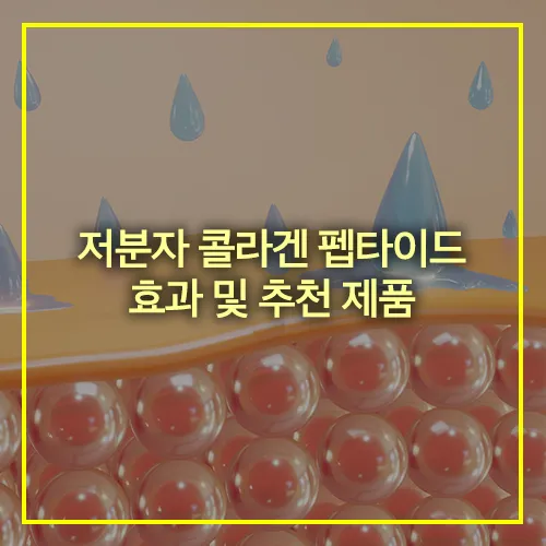 저분자 콜라겐 펩타이드 효과 추천 제품