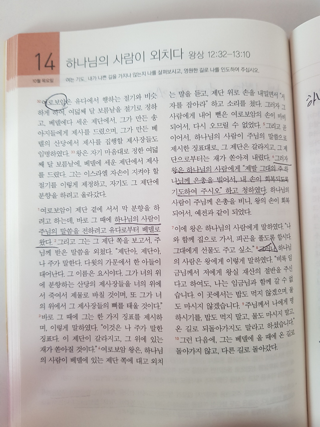 211014 시냇가에 심은 나무