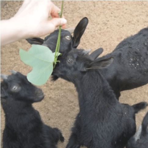 μ¨λ΄μλ¬Όμ-κ°€λ¬λ¦¬