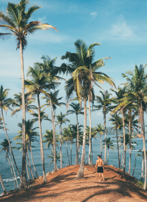 광복절 대체공휴일