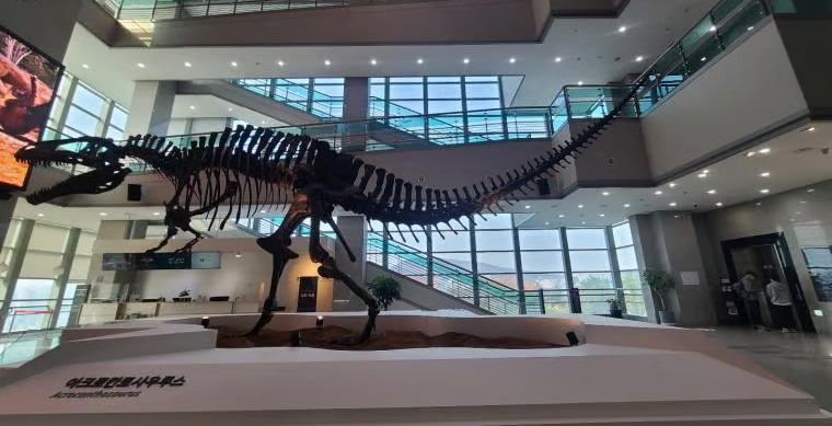 서대문자연사박물관 완벽 가이드: 2026년 예약부터 주차까지 실전 관람 후기