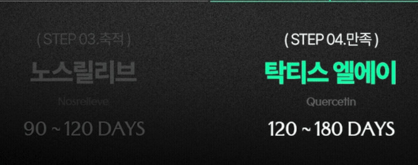 노즈픽션-사진4