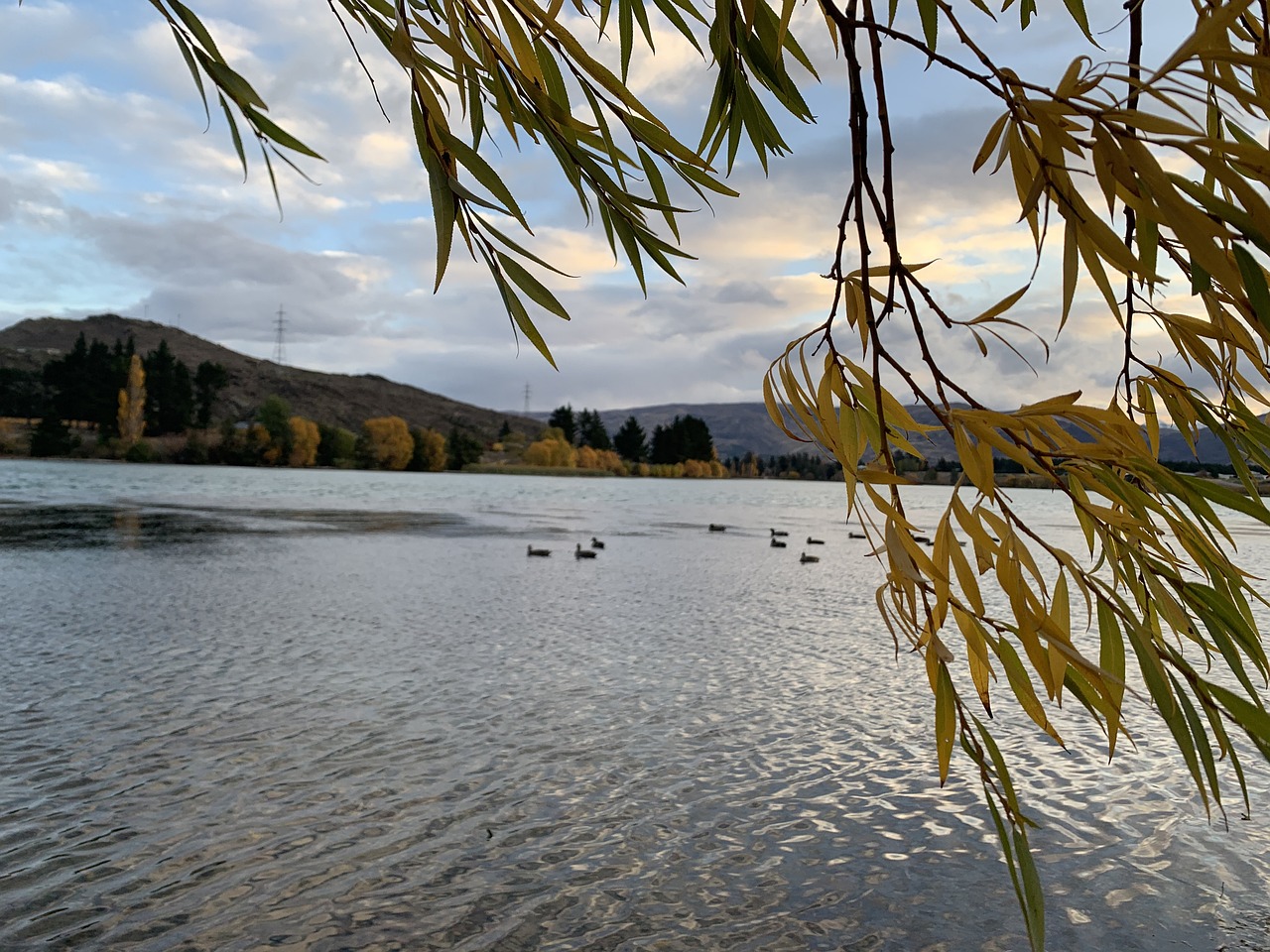 숲길을 따라 조용하게 이어지는 산속 오솔길