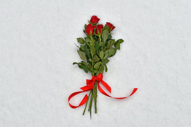 중랑천 장미축제