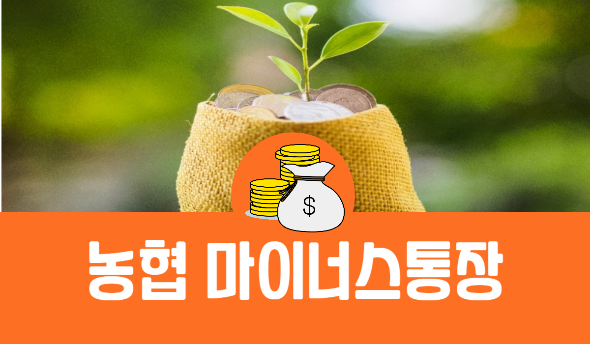 농협 마이너스통장