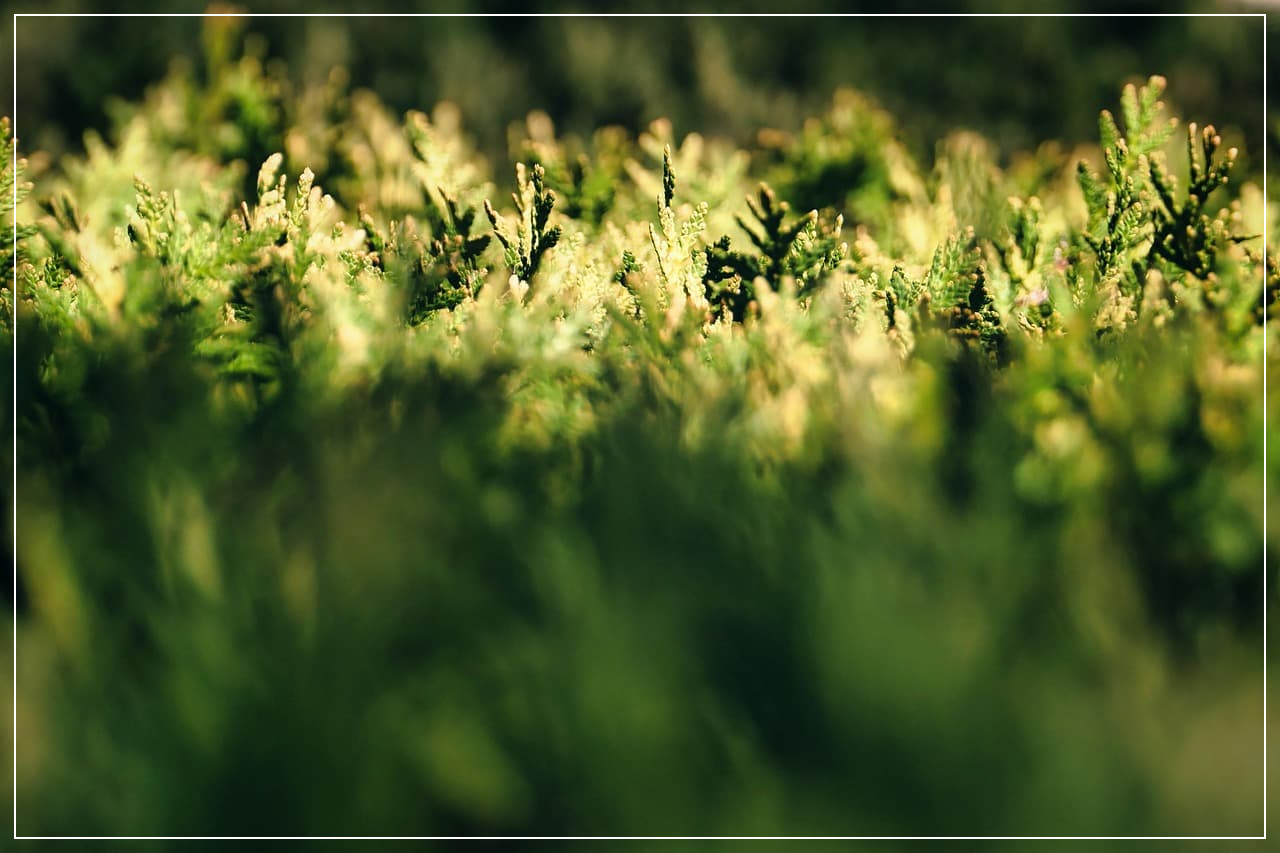 '무(無)'에서 생명은 어떻게 시작되었을까? 생명의 기원에 대한 최신 과학적 가설 3가지