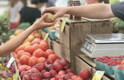 제로 웨이스트 쇼핑법 : 대량구매,리필 스테이션 이용으로 지출 줄이기
