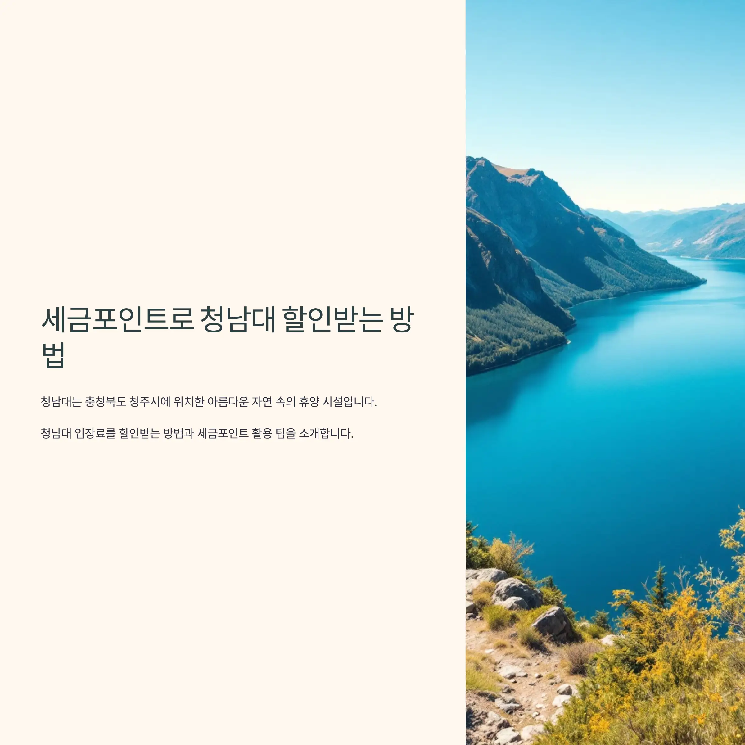 세금포인트로 청남대 할인받는 방법 손택스 앱