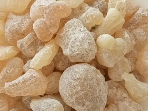 보스웰리아 약용