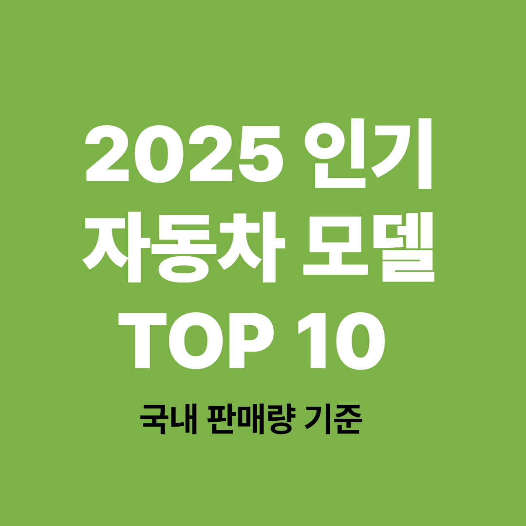 2025년 국내 인기 자동차 판매량 상위 10개 모델 비교