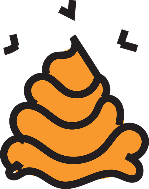 야채 과일식 다이어트