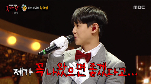 복면가왕 '부뚜막 고양이’ 양요섭, 8연승 신화의 비밀과 감동의 무대들