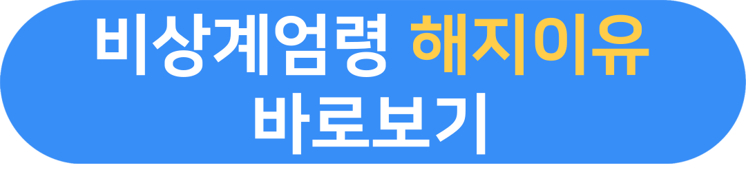 비상 계엄령 선포시