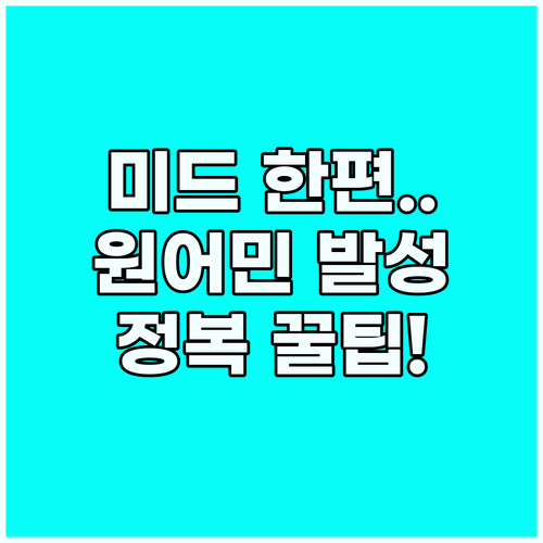 영어회화 독학 미드 쉐도잉으로 원어민..