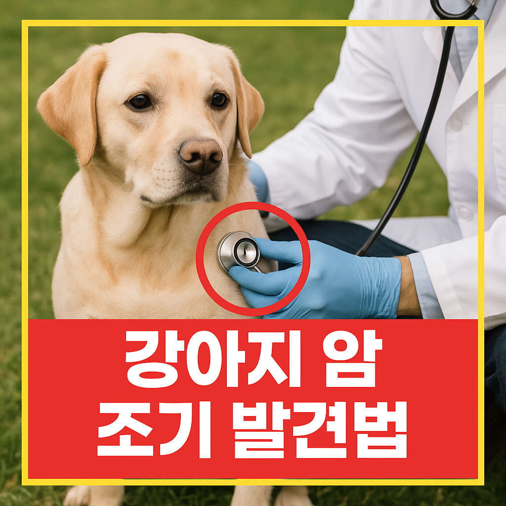 강아지 암 조기 발견법